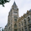 London - Natural History Museum, June 2005