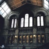 London - Natural History Museum, June 2005