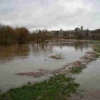 Langport. The church on the hill, viewed from beside the flooded river Parrett near Huish bridge