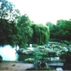 London - Regent`s Park, Sept 1996