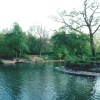 London - Regent`s Park, May 2001