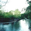 London - Regent`s Park, May 2001