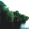 London - Regent`s Park, May 2001