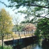 London - Regent`s Park, May 2001