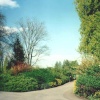 London - Regent`s Park, Queen Mary's Gardens, May 2001