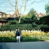 London - Regent`s Park, Queen Mary`s Gardens, May 2001