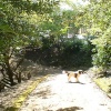 One of the many winding paths in Bold venture Park, Darwen, Lancashire.
