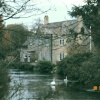 House with swans in Fairford, Gloucestershire