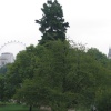 london eye