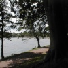 A view of newmillerdam taken within the tree line, West Yorkshire.