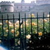 London - Tower of London, May 1998