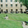Resident Ravens at the Tower of London, Sept 2002