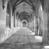 Cambridge university