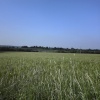 The village of Binsted in Hampshire