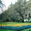London - Victoria Embankment Gardens, May 2001