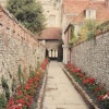 St Richard's Walk, Chichester Cathedral