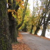 The Riverwalk through Avenham Park, Preston, Lancashire. with the Ribble meandering by.