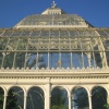 Palm House - Sefton Park, Liverpool