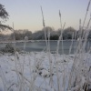 Wellow Pond near Ollerton, Nottinghamshire