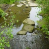 A stream at the Dam near gilroyd and dodworth, Barnsley South Yorkshire