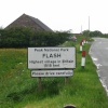 A picture of Flash