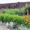 A picture of Lindisfarne