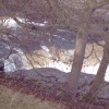 Aysgarth Lower Falls - January 2006