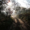 Taking the dog for a walk. Weaver Valley, heading in the direction of Newbridge, Winsford, Cheshire