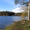A picture of Talkin Tarn Country Park