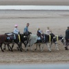 Children enjoying Donkey rides on the sea front at Blackpool, Lancashire