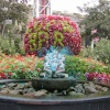 Roadside gardens in Blackpool