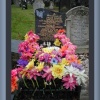 Cemetery on Welford Road in Leicester