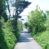 A woodland path on Herm, one of the smaller Channel Islands