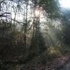 Cheshire sunbeams, near Winsford, Cheshire.