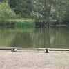 Sherdley Park, St. Helens, Lancashire