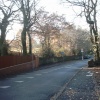 A picture of Gorton