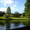 Clare gardens from the Cam. Cambridgeshire. September 2005