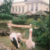 Clifton Zoo, Bristol