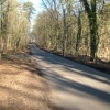 The Winterbourne Road looking back at the Curridge Road