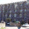 Castle Hotel in flower, Taunton, Somerset
