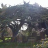 Cementary close to church of St Cross. Oxford