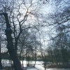 Osborne's Pond, Shipley Country Park, Heanor, Derbyshire in winter
