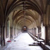 Cloisters, Norwich Cathedral, Norfolk