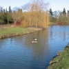 Grounds of Walton Hall, outside of Wellesbourne, Warwickshire; Feb 2005