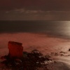 Charlie's Garden, Collywell Bay, Seaton Sluice, Tyne & Wear.