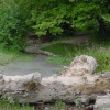 Barton Springs