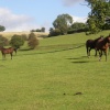 Pikes Pool Lane, Finstall, Bromsgrove