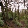 A Picture of Bold Venture,(Top),Park, Darwen, Lancashire.