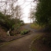 A Picture of Bold Venture,(Top), Park, Darwen, Lancashire.