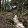A Picture of Bold Venture,(Top), Park, Darwen, Lancashire.